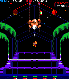 Donkey Kong 3