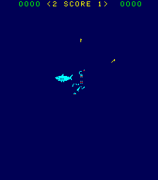Shark Attack
